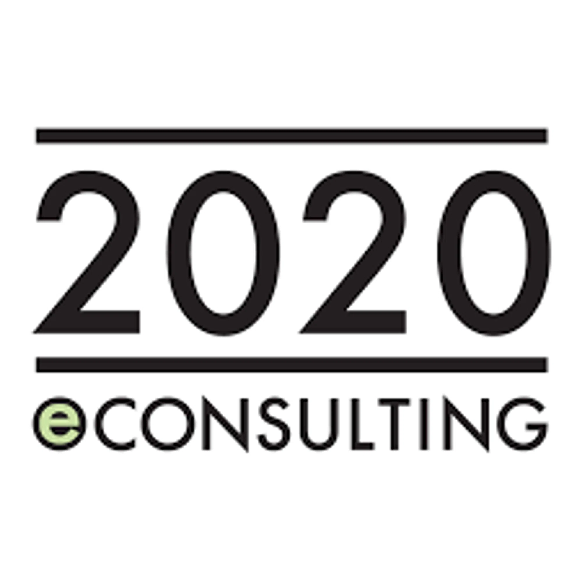 2020 EConsulting