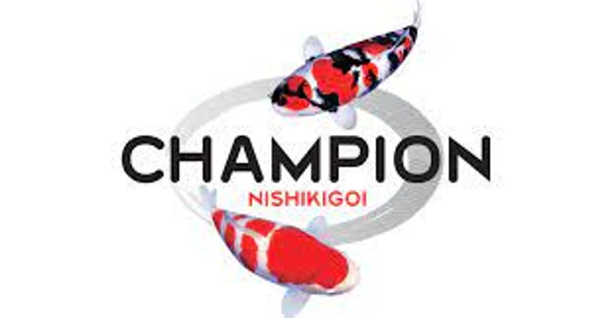 Champion Nishikigoi
