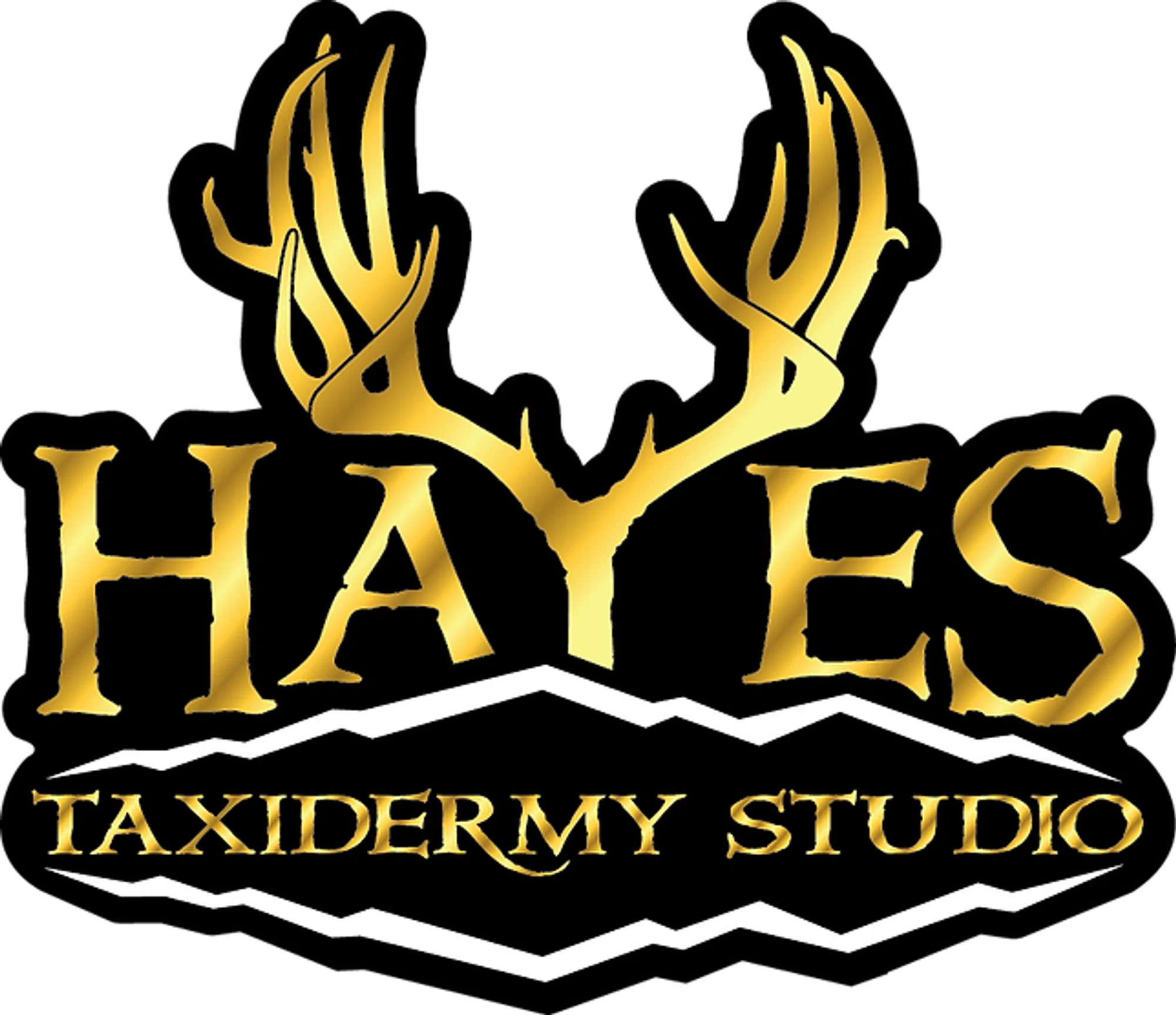 Hayes Taxidermy Studio