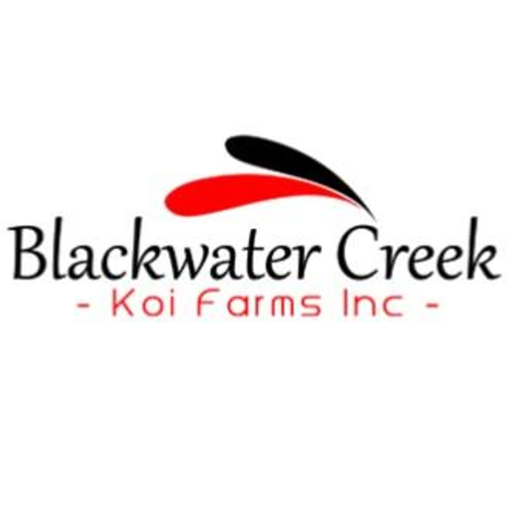 Blackwater Creek Koi Farms